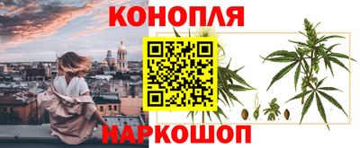 гашик Мариинск