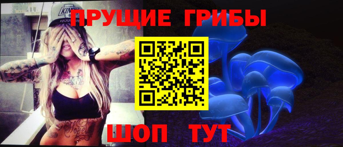 Псилоцибиновые грибы GOLDEN TEACHER Советский